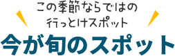 今が旬のスポット